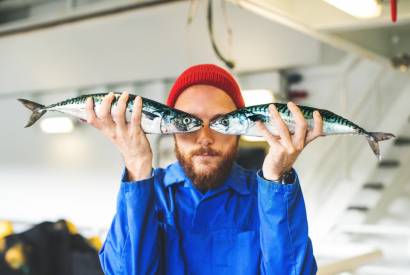 Poisson : Lequel choisir ?