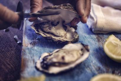Aliments riches en zinc