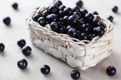 Tout ce qu’il y a à savoir sur la Vitamine C !