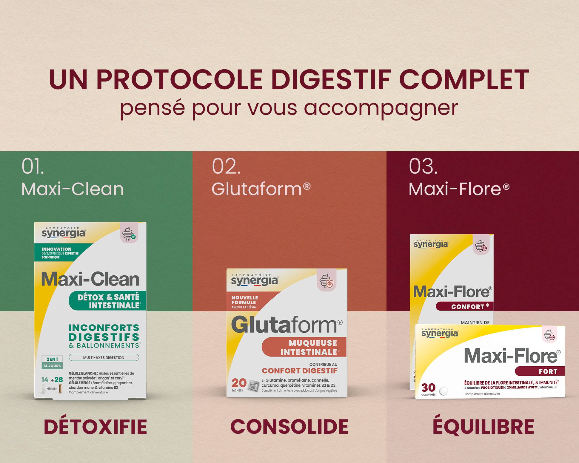 Protocole digestif