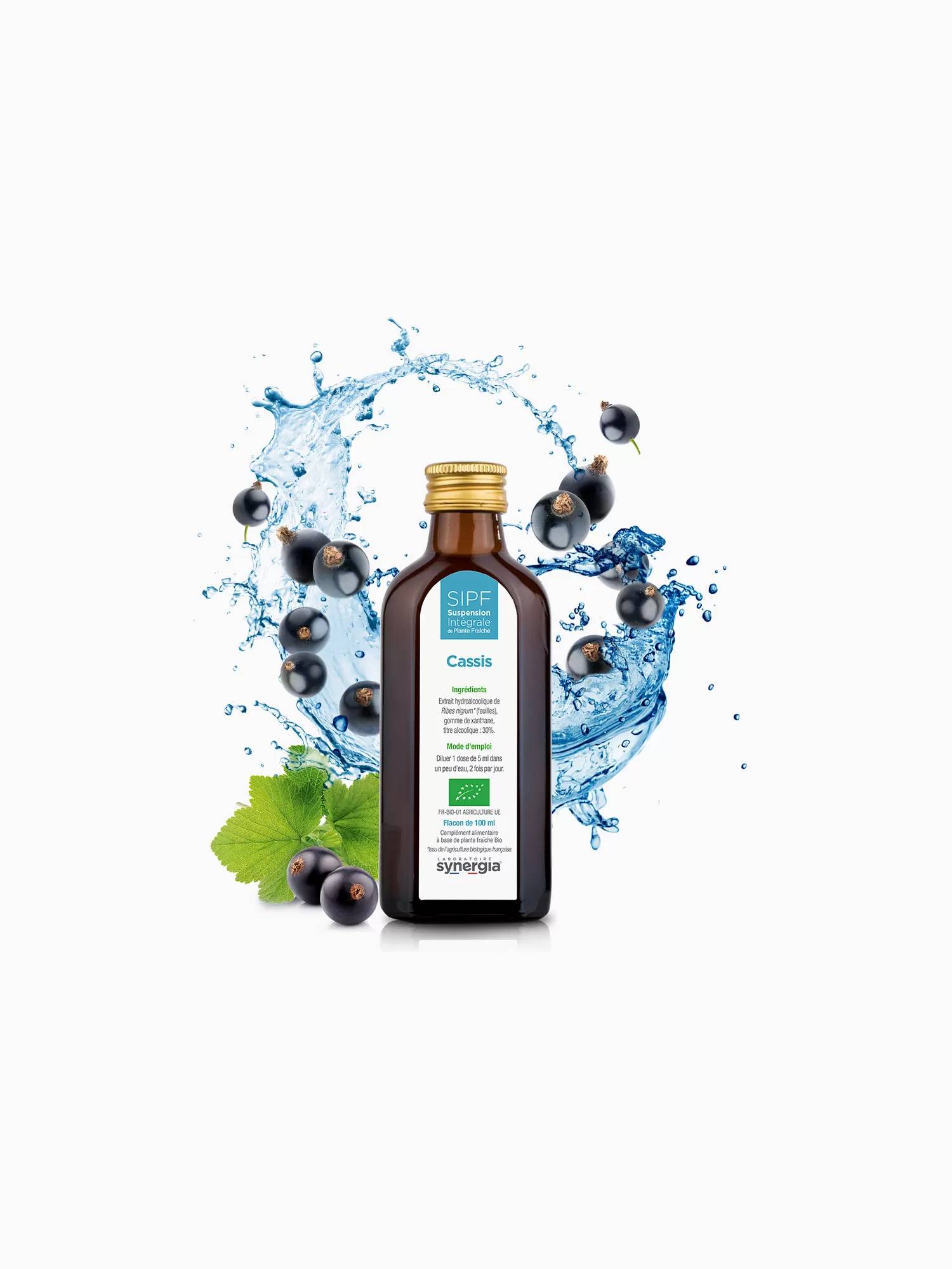 Organic Black Currant SIPF