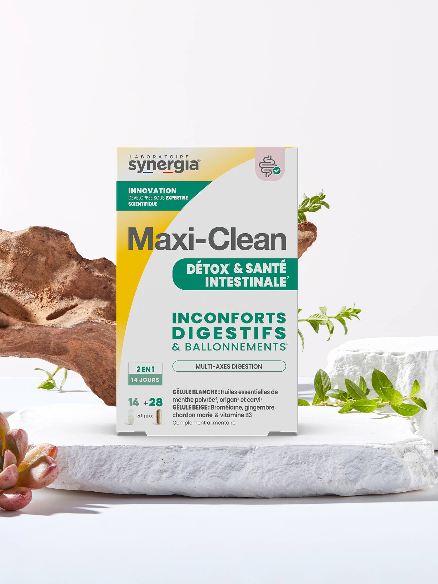 Maxi-Clean DETOX & GUT HEALTH
