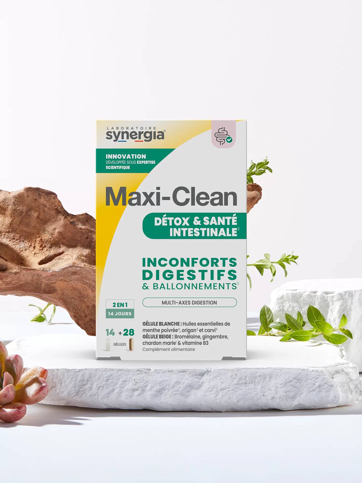 Maxi-Clean DETOX & GUT HEALTH