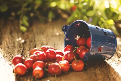 Acerola: why take it and how to eat it?