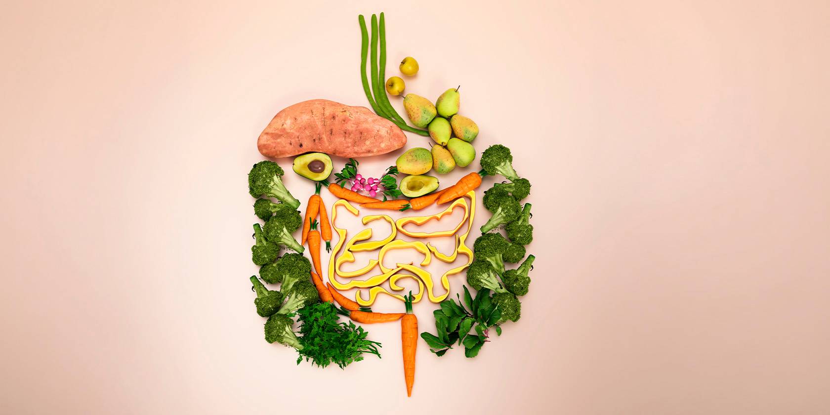 Détox des intestins : pourquoi et comment s’y prendre ?