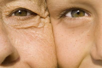 Skin aging and phytotherapy
