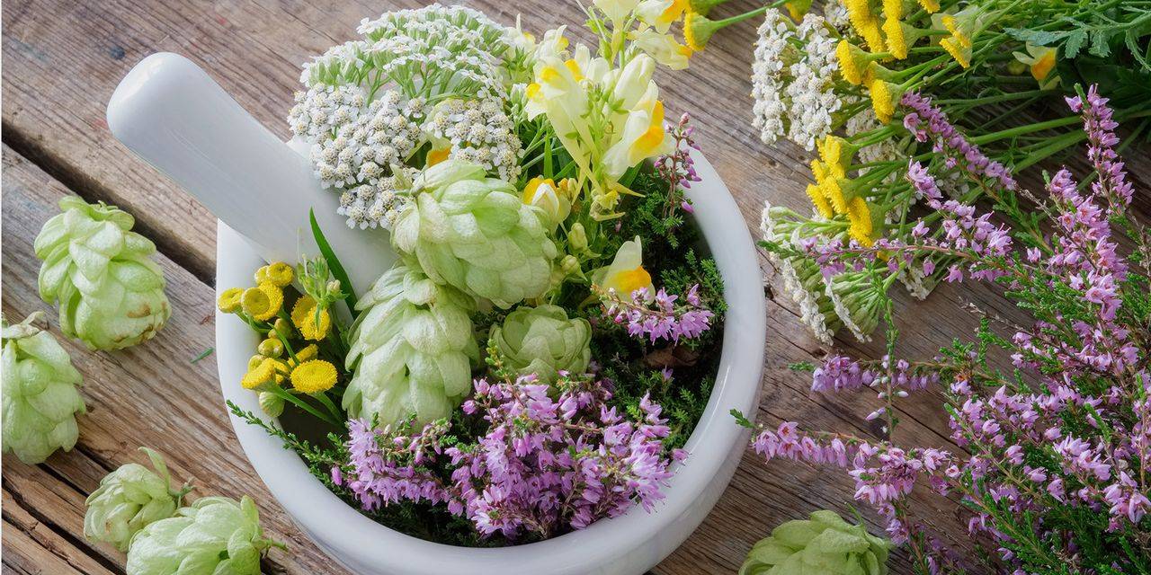 Top 8 stress-relieving plants